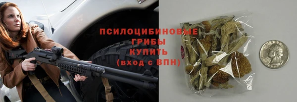 прущие крисы Вяземский