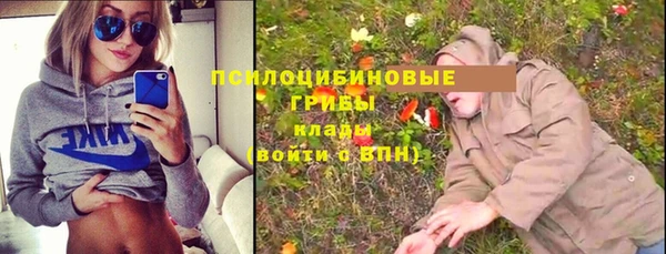 прущие крисы Вяземский