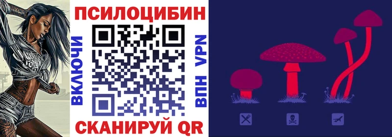 Псилоцибиновые грибы GOLDEN TEACHER  Ноябрьск 