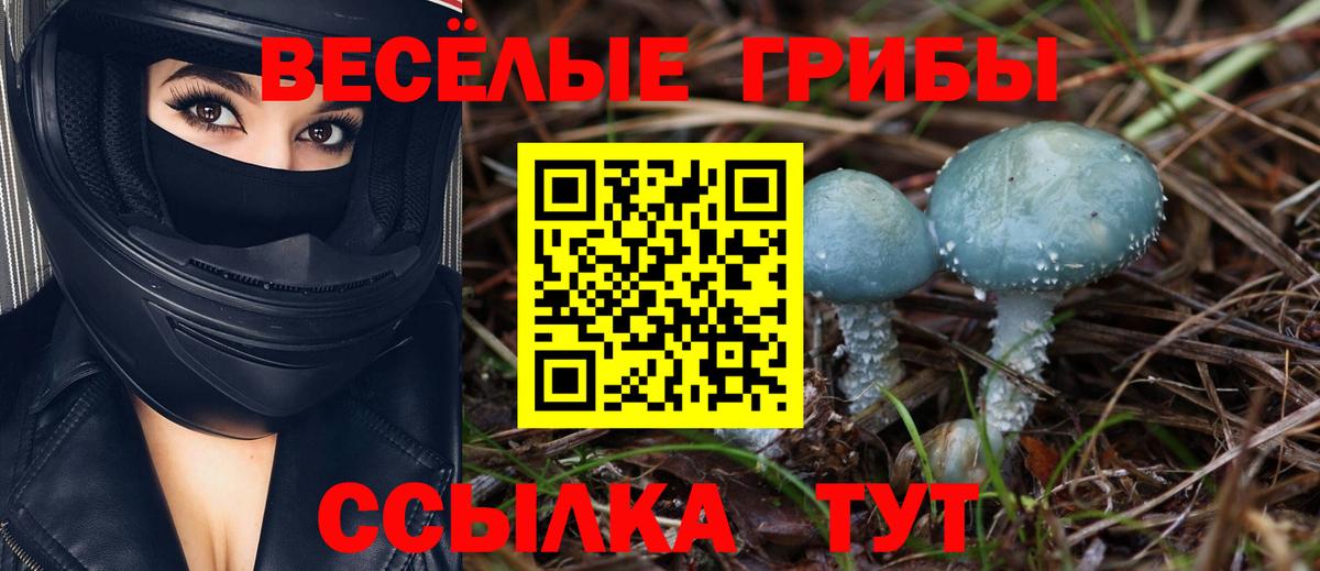 Псилоцибиновые грибы Psilocybine cubensis Ноябрьск
